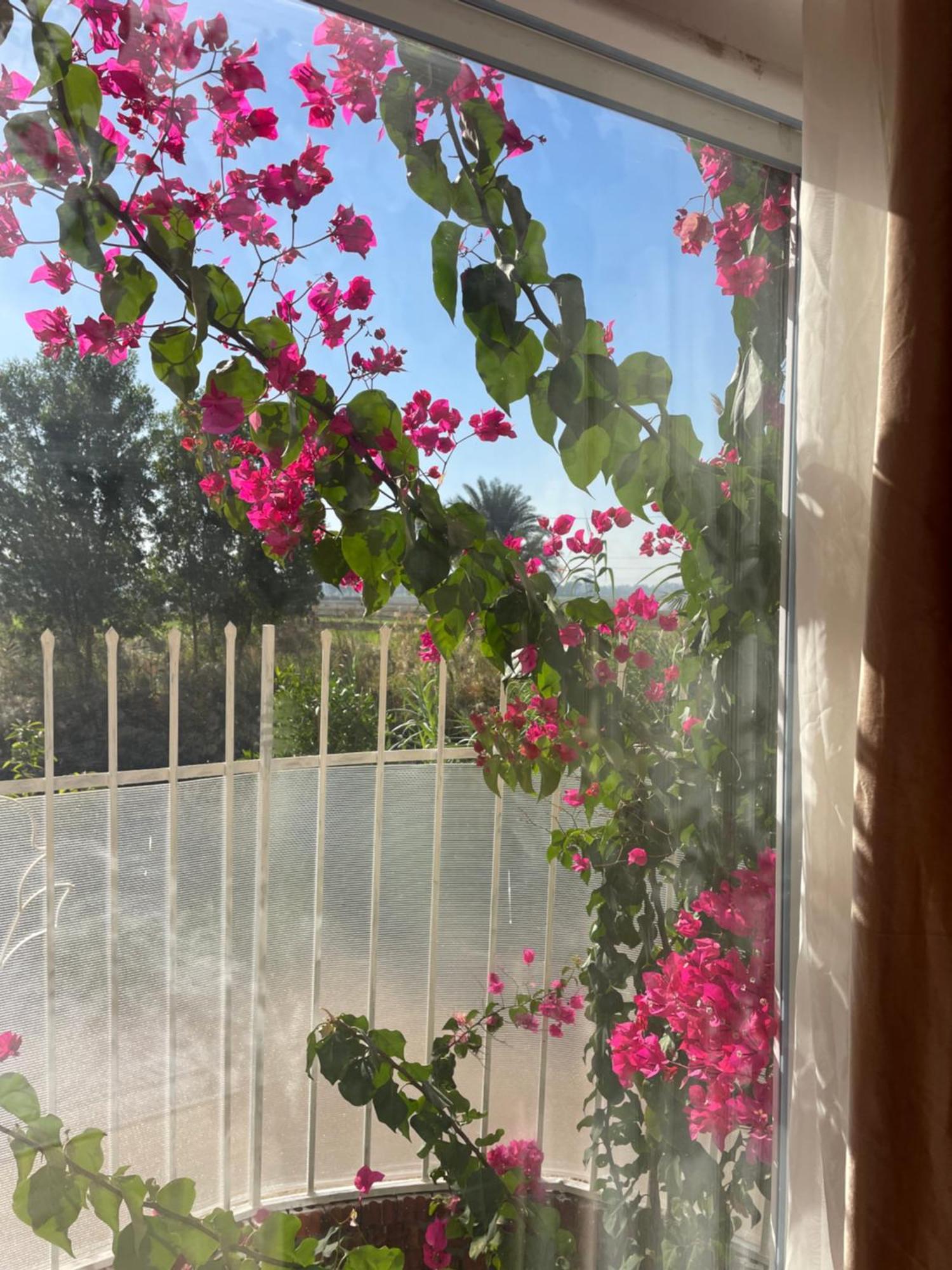 Karima House Hotel Luxor Ngoại thất bức ảnh
